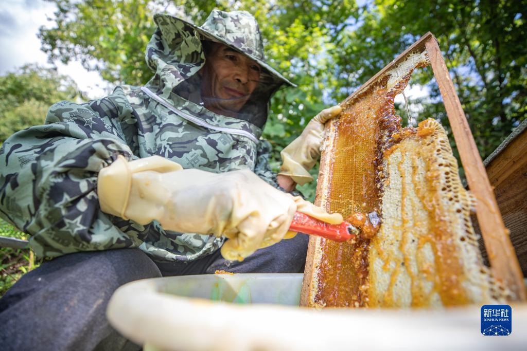 澳门新发游戏